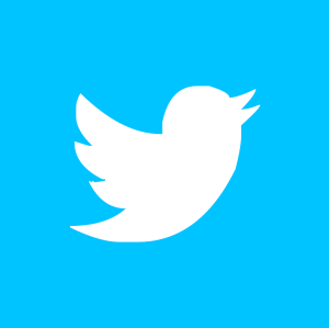 Twitter - pixabay
